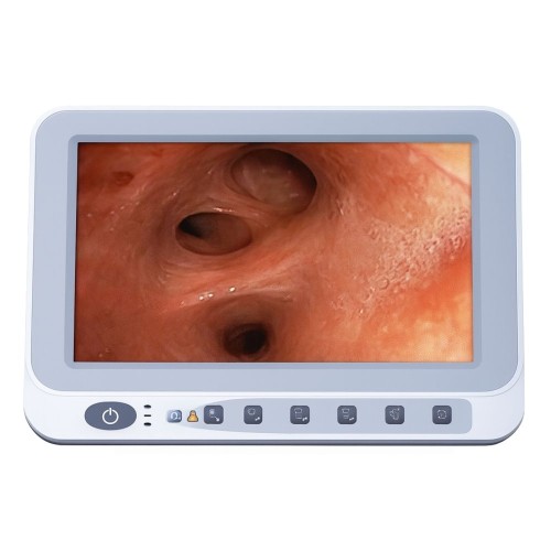 M110A Видеопроцессор с монитором HD для эндоскопии