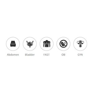 Портативный ультразвуковой сканер SONON 300С, Healcerion Co., Ltd, Ю.Корея